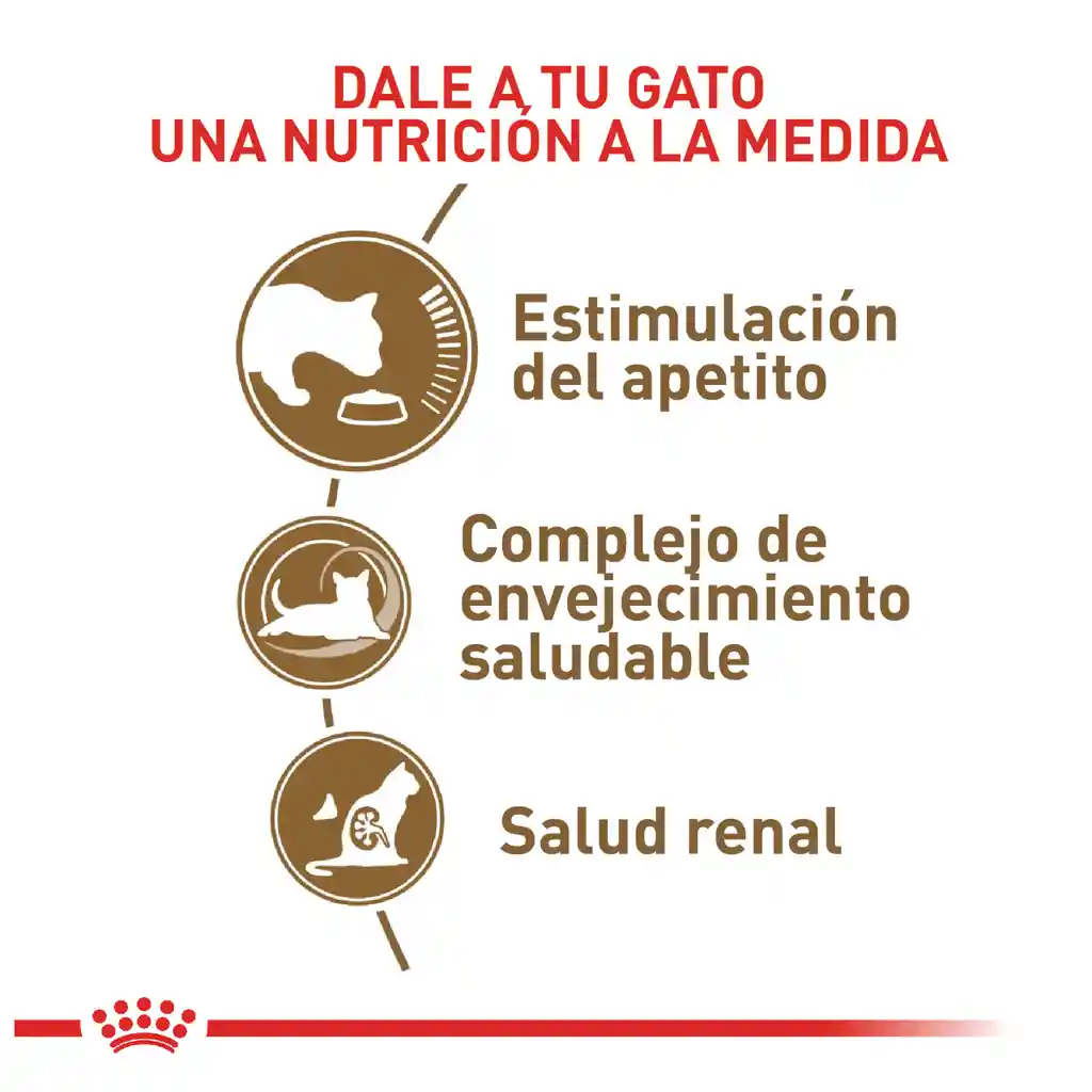 Royal Canin  Alimento para Gato Adulto Mayor Envejecimiento