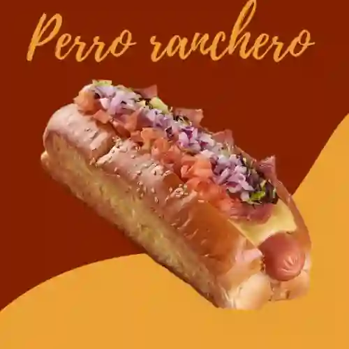 Perro Ranchero