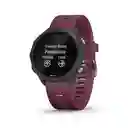 Reloj Forerunner 245 Black/berry