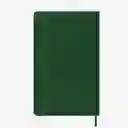 Moleskine Agenda Diaria Verde Grande Sc 2026