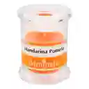  Iluminatt Vela ILUMINATA Vaso Peq Mandar V57Mp 