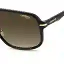 Gafas Hombre Marrón 2053732M260HA Carrera