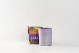 Iluminata Vela Vaso Morado Lavanda 91