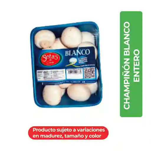 Setas de Cuiva Champiñón Blanco Entero