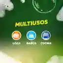 Axion Lavaplato Explosión Cítrica