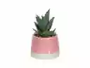Maceta Cactus Dúo Casaideas