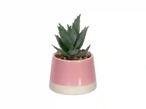 Maceta Cactus Dúo Casaideas