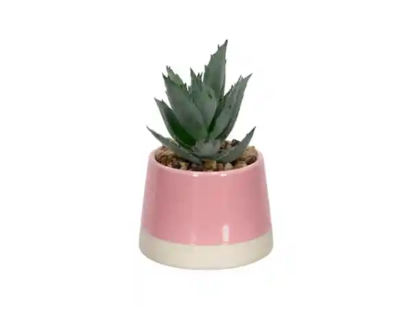 Maceta Cactus Dúo Casaideas