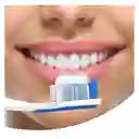 Colgate Crema Dental Total 12 Encías Reforzadas