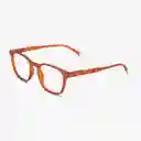 Barner Gafas de Lectura Dalston Cobre + 1.50
