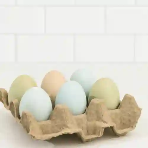 Huevos Criollos