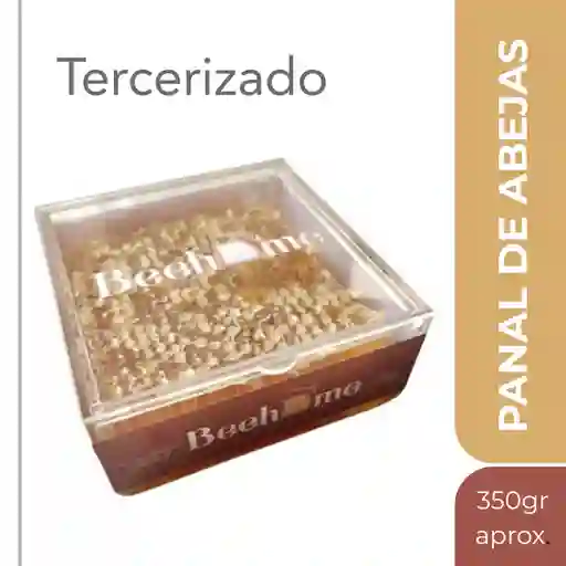 Beehome Panal de Abejas Natural Bite