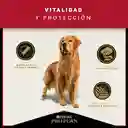 Raza Pro Plan Adlt Dog  Mediana X 3Kg