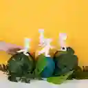 Juguete Serie de Dinosaurios Para Colorear Miniso