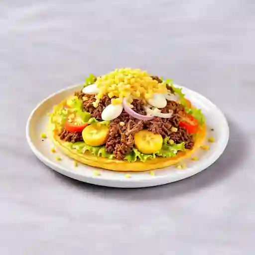 Patacon Grande Mixto (Desmechada Y Pollo)