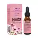 Esencia Floral De Echinacea 25 Ml Freshly