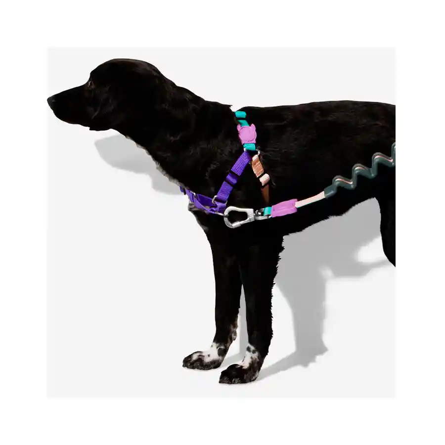 Zeedog Arnés Para Perro Boogie Softwalk Talla M