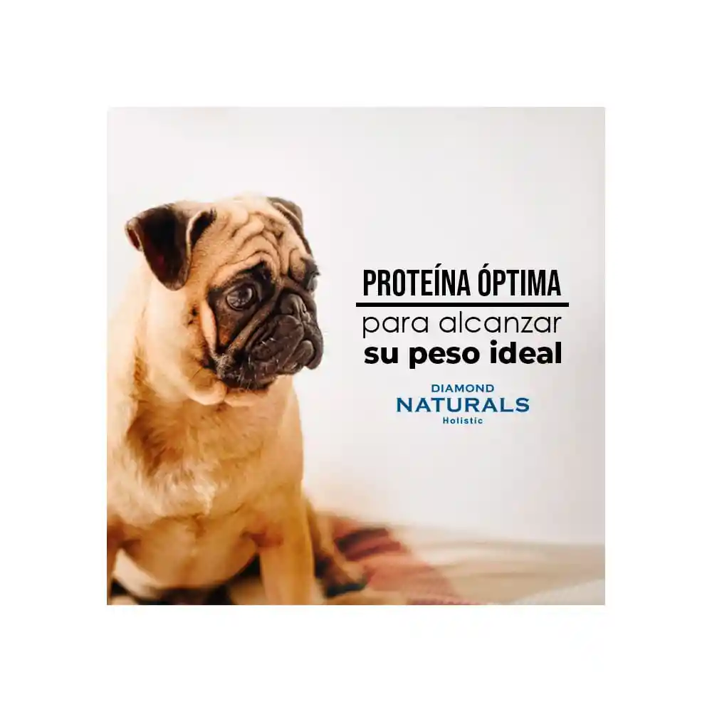 Diamond Naturals Alimento Para Perro Light 1 Kg