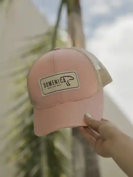 Domenica Cap Trucker Rosado