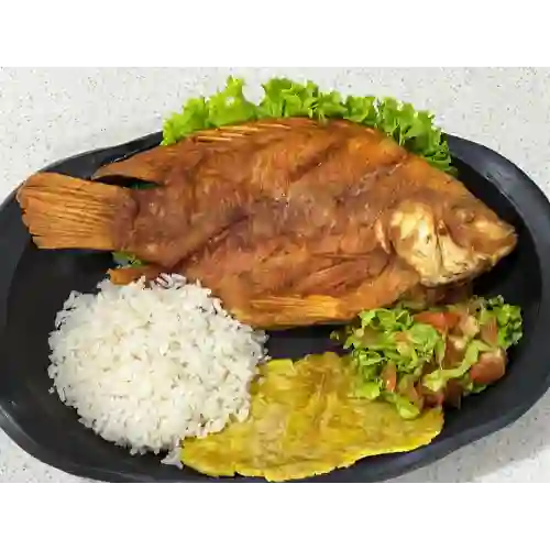 Mojarra Frita