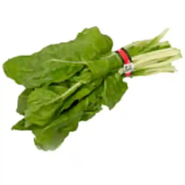 Acelga