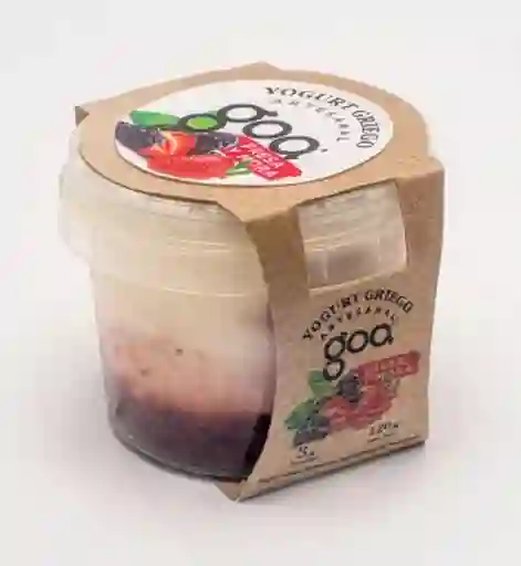 Goa Yogurt Frutos