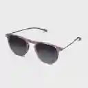 Nooz Gafas de Sol Dino Gris