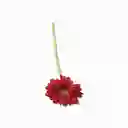Gerbera Roja 47 cm Ambiente Gourmet