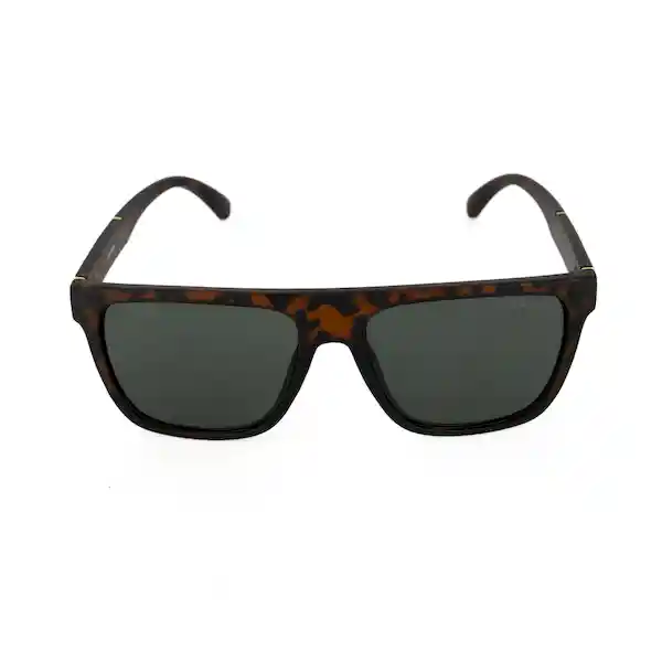 Gafas Para Hombre Color Havana X17130 Steve Madden