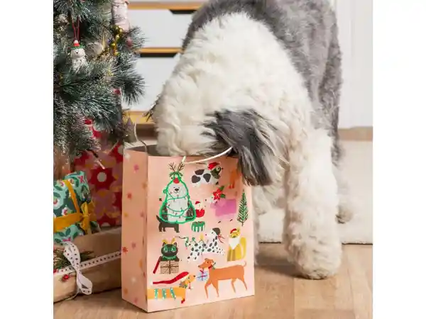 Tarjeta de Regalo Ref. 3211923000450