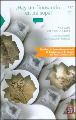 ¡Hay un dinosaurio en mi sopa!