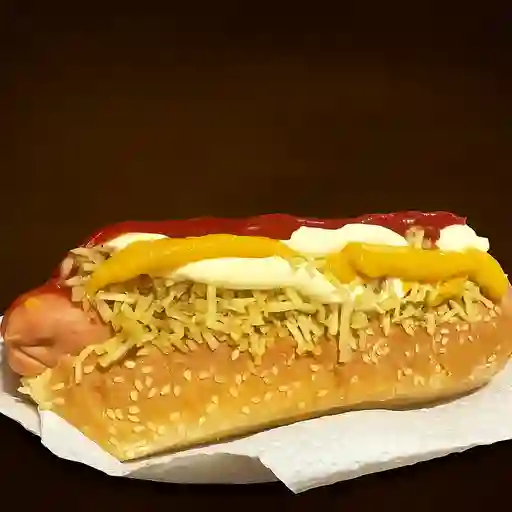 Perro sencillo