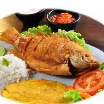 Tilapia Frita