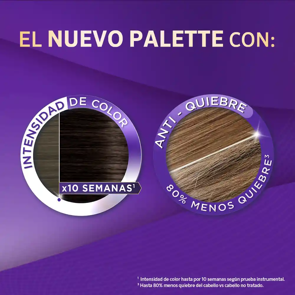 Palette Tinte Intensive Creme Permanente Chocolate 3-68