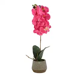 Maceta Flor Alta Fucsia Diseño 0001 Casaideas