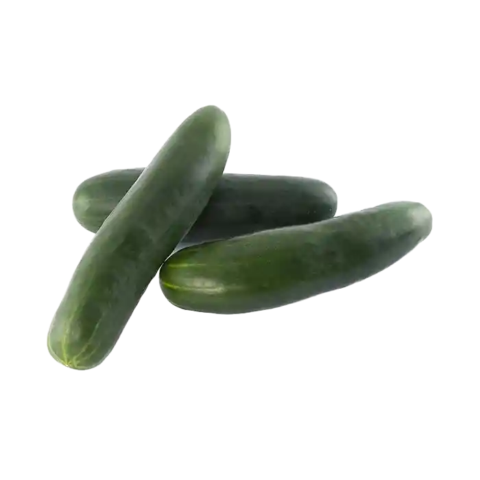 Pepino