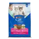 Cat Chow Alimento para Gatito Forti Defense con DHA