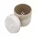 Contenedor Ajo Diseño 0001 Casaideas