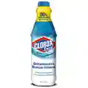 Quitamanchas Clorox Blancos Intensos 450 ml