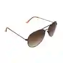 Gafas Unisex Color Bronce X17096 Steve Madden