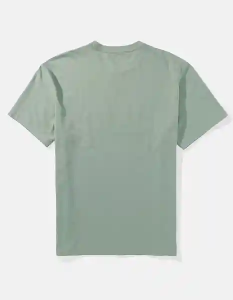 Camiseta Hombre Verde Talla Medium American Eagle 01813685