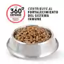 Ringo Alimento para Perro Cachorro Pro