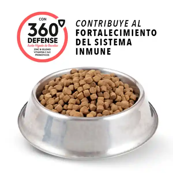 Ringo Alimento para Perro Cachorro Pro