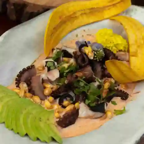 Ceviche Parrillado