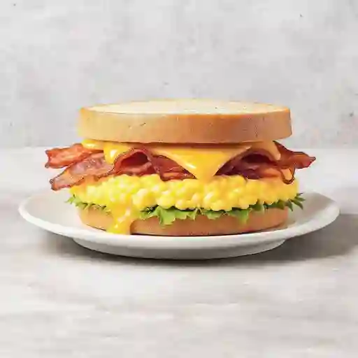 Sandwich new york style