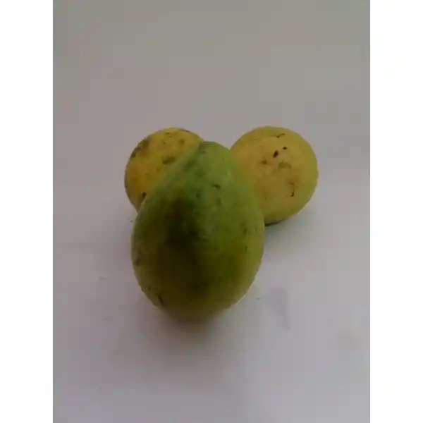 Guayaba Común