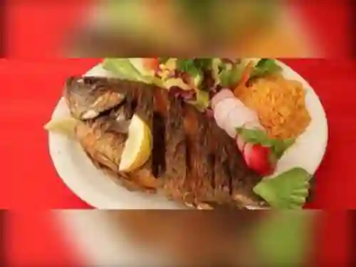 Mojarra Negra