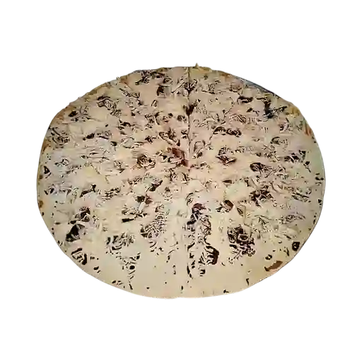 Pizza de Pollo y Champiñón Extralarge