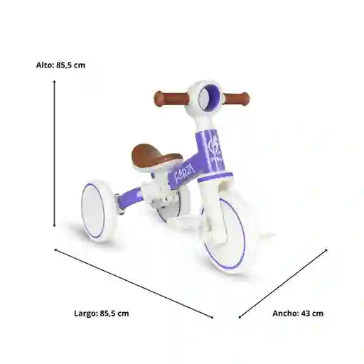 Prinsel Triciclo Bicicleta de B 2 en 1