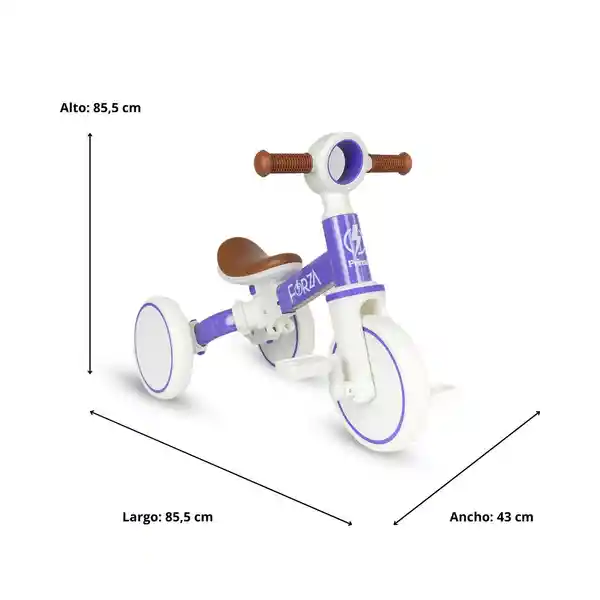Prinsel Triciclo Bicicleta de B 2 en 1